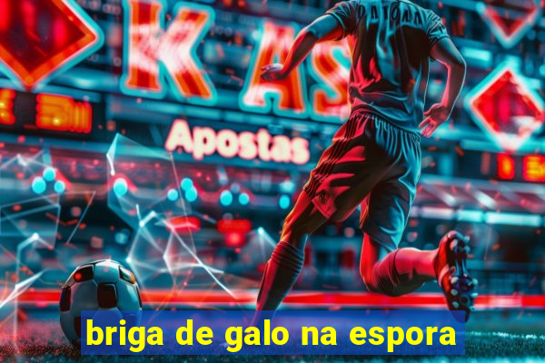 briga de galo na espora